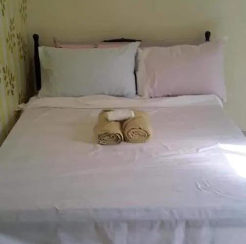 The Veehive Couette-café Moalboal