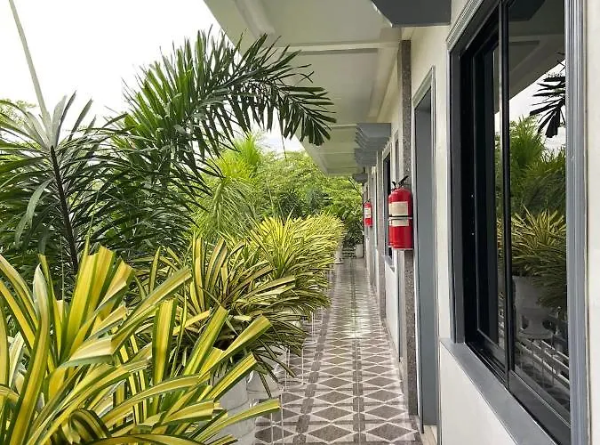The Veehive * Moalboal