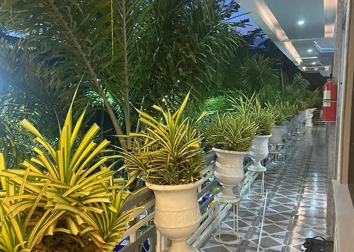 The Veehive * Moalboal